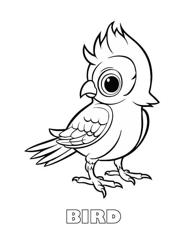bird coloring page