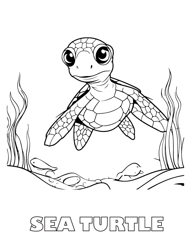 sea turtle coloring page