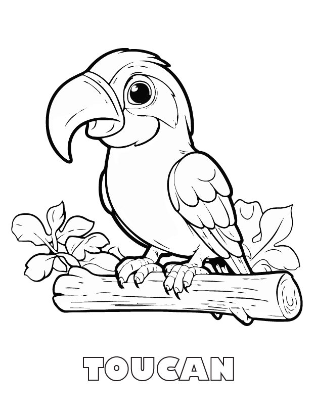 toucan coloring page